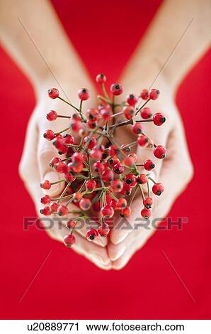 Stock Image - Berries. Fotosearch