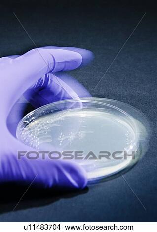 Biological research View Large Photo Image Picture - Biological research. Fotosearch