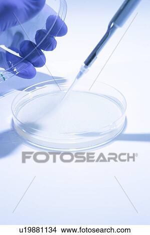 Biological research View Large Photo Image Picture - Biological research. Fotosearch