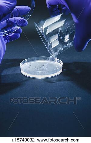 Biological research View Large Photo Image Stock Image - Biological research. Fotosearch