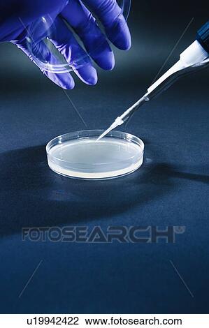 Stock Image - Biological research. Fotosearch