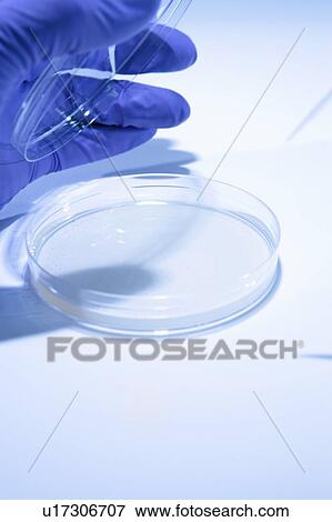 Stock Photo - Biological research. Fotosearch