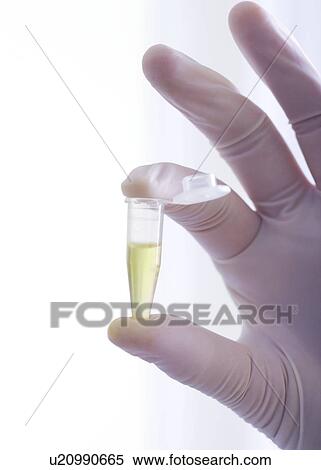 Stock Photography - Biological research. Fotosearch