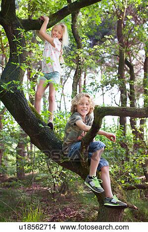 Picture - Boy and girl in tree looking at camera smiling. Fotosearch