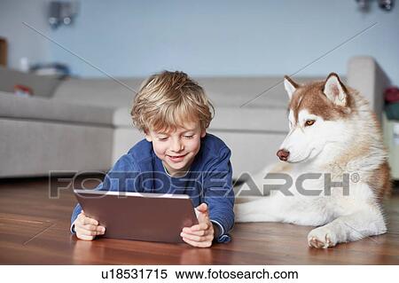 Stock Photography - Boy lying on living room floor with husky browsing digital tablet. Fotosearch