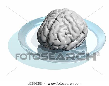 Picture - Brain research, conceptual artwork. Fotosearch