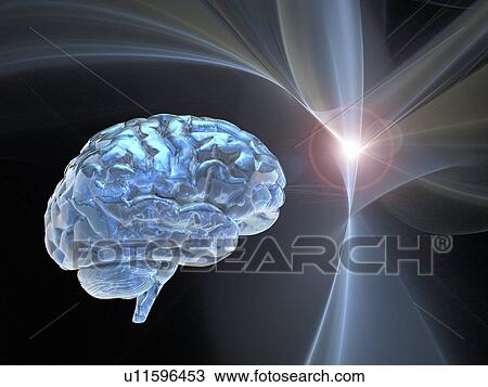 Brain research, conceptual artwork View Large Photo Image Stock Image - Brain research, conceptual artwork. Fotosearch