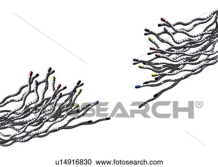 Broken connections, conceptual artwork View Large Photo Image Stock Image - Broken connections, conceptual artwork. Fotosearch
