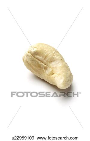 Cashew nut View Large Photo Image Stock Photo - Cashew nut. Fotosearch