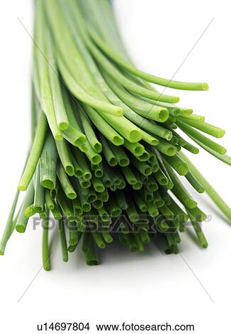 Picture - Chives. Fotosearch