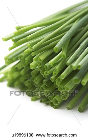 Stock Photo - Chives. Fotosearch