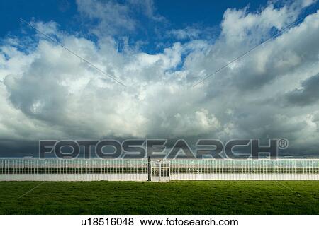 Stock Photo - Clouds above commercial greenhouse, 'S Gravenpolder, Zeeland, Netherlands. Fotosearch