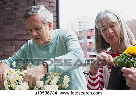 Picture - Couple gardening on balcony. Fotosearch