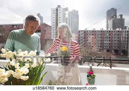 Couple gardening on balcony View Large Photo Image Stock Image - Couple gardening on balcony. Fotosearch