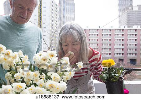 Stock Photo - Couple gardening on balcony. Fotosearch
