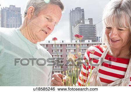 Stock Photograph - Couple gardening on balcony. Fotosearch