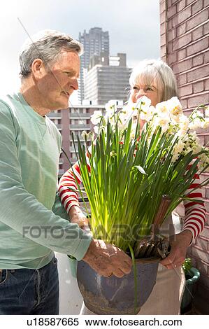 Stock Photography - Couple gardening on balcony. Fotosearch