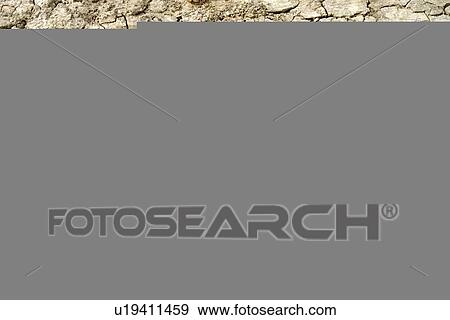 Cracked mud and seedling View Large Photo Image Stock Photo - Cracked mud and seedling. Fotosearch
