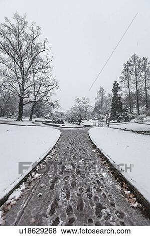 Diminishing perspective of snow covered path View Large Photo Image Stock Photo - Diminishing perspective of snow covered path. Fotosearch