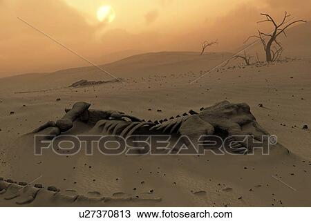 Dinosaur skeletons in the desert View Large Photo Image Stock Image - Dinosaur skeletons in the desert. Fotosearch