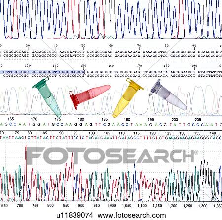 Picture - DNA analysis. Fotosearch