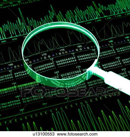 DNA analysis View Large Photo Image Stock Image - DNA analysis. Fotosearch