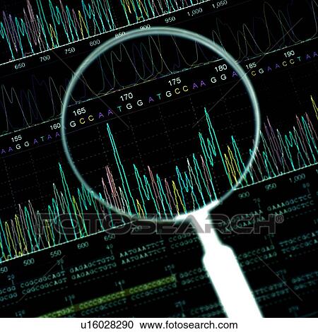 DNA analysis View Large Photo Image Stock Image - DNA analysis. Fotosearch