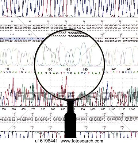 Stock Image - DNA analysis. Fotosearch
