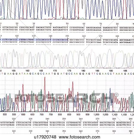 DNA analysis View Large Photo Image Stock Photo - DNA analysis. Fotosearch
