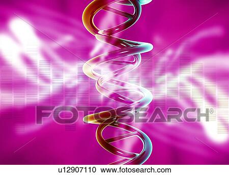 Stock Image - DNA molecule, artwork. Fotosearch