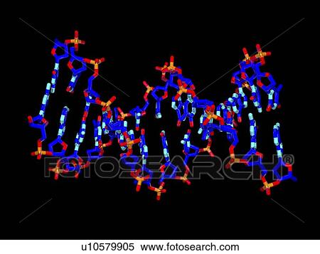 Stock Photography - DNA molecule, artwork. Fotosearch