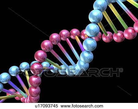 Stock Photography - DNA molecule, computer artwork. Fotosearch