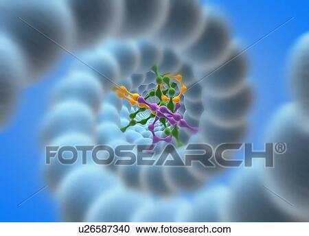 Stock Image - DNA molecule. Fotosearch