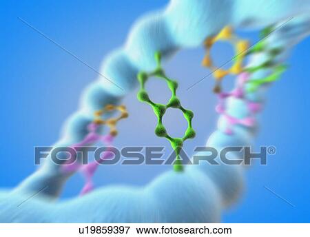 Stock Photo - DNA molecule. Fotosearch