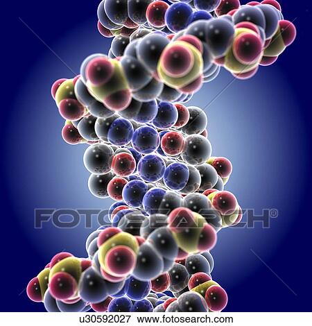 DNA molecule View Large Photo Image Stock Photo - DNA molecule. Fotosearch