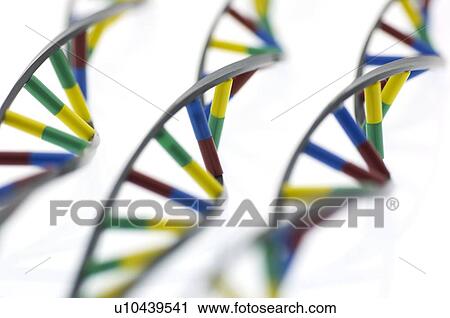 Stock Image - DNA molecules. Fotosearch