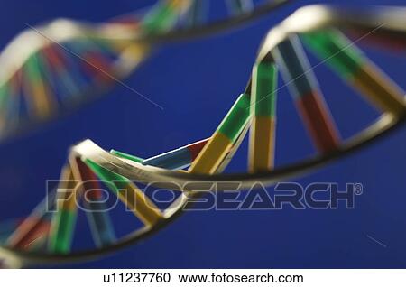 DNA molecules View Large Photo Image Stock Image - DNA molecules. Fotosearch