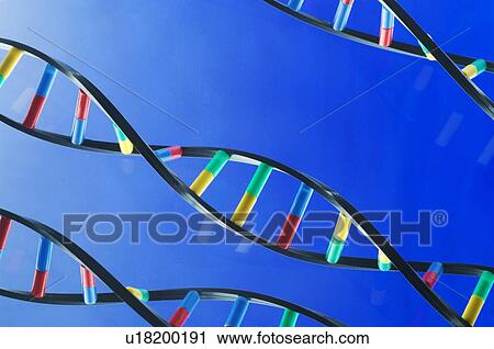 DNA molecules View Large Photo Image Stock Image - DNA molecules. Fotosearch