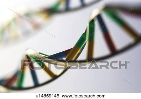 DNA molecules View Large Photo Image Stock Photograph - DNA molecules. Fotosearch