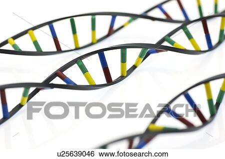 DNA molecules View Large Photo Image Stock Photograph - DNA molecules. Fotosearch
