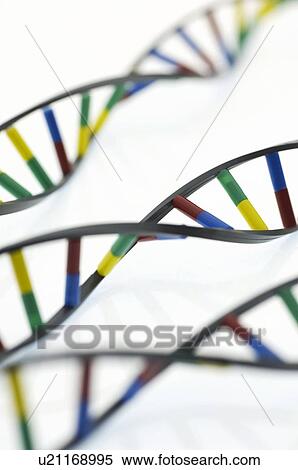 DNA molecules View Large Photo Image Stock Photography - DNA molecules. Fotosearch