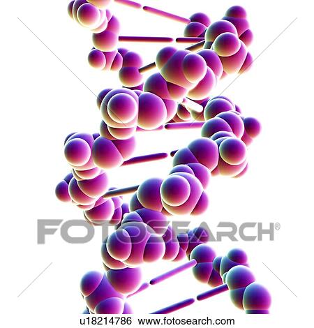 Stock Photograph - DNA structure. Fotosearch