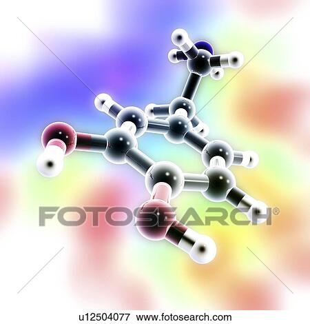Dopamine, 3D molecular model View Large Photo Image Stock Photo - Dopamine, 3D molecular model. Fotosearch