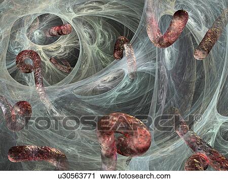 Stock Image - Ebola viruses, artwork. Fotosearch