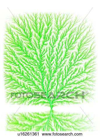 Electron tree View Large Photo Image Stock Image - Electron tree. Fotosearch