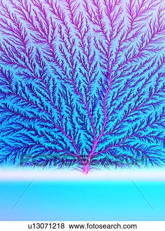 Stock Photo - Electron tree. Fotosearch