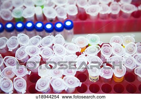 Eppendorf tubes View Large Photo Image Picture - Eppendorf tubes. Fotosearch