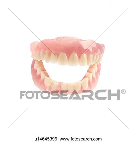False teeth View Large Photo Image Stock Photograph - False teeth. Fotosearch
