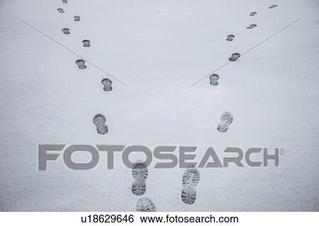 Footprints in snowy landscape View Large Photo Image Stock Photograph - Footprints in snowy landscape. Fotosearch
