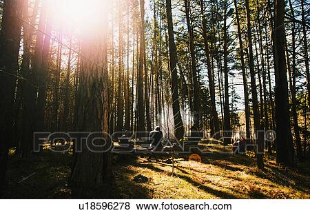 Stock Photo - Friends sitting on fallen tree by campfire in forest. Fotosearch